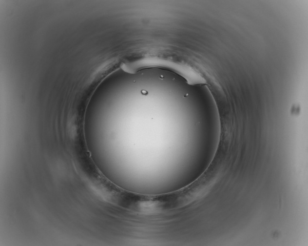X0000096970216200802081259