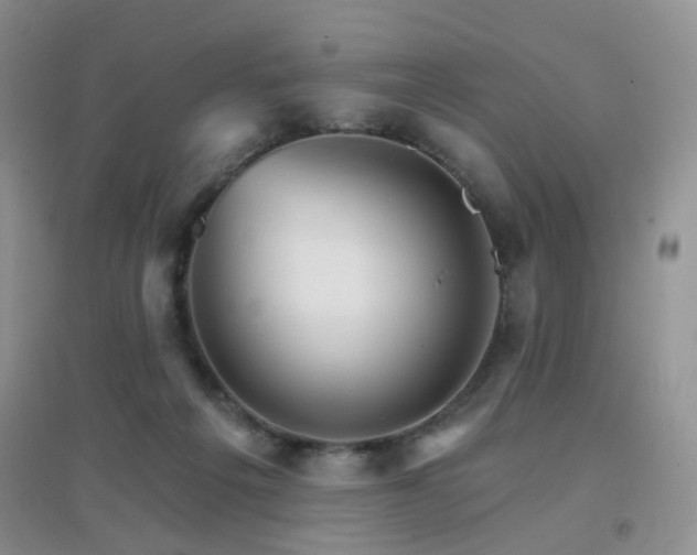 X0000096970217200802081259