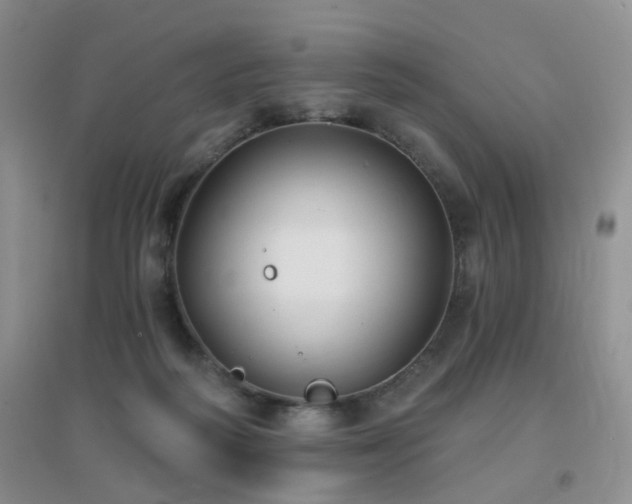 X0000096970218200802081259