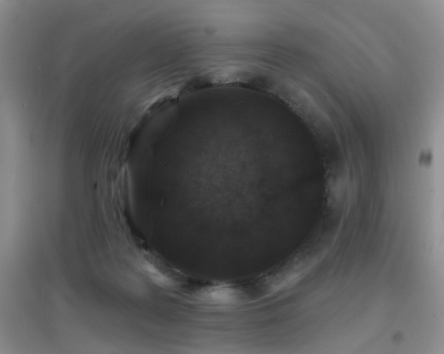 X0000096970219200802081259