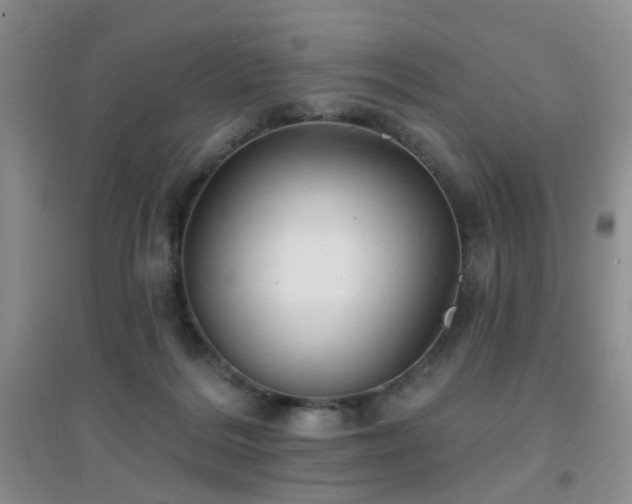 X0000096970220200802081259