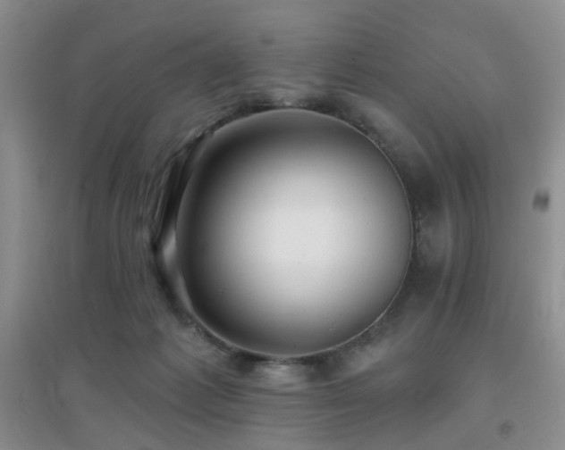 X0000096970221200802081259