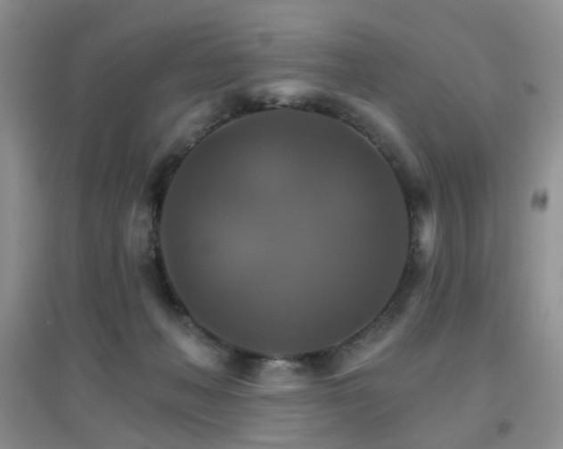 X0000096970222200802081259