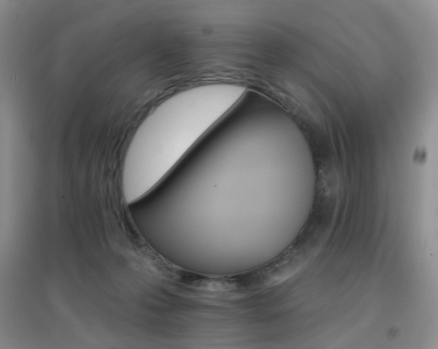 X0000096970223200802081259