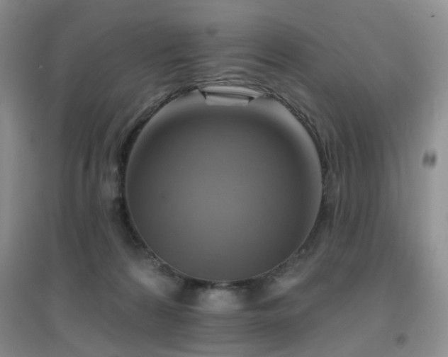 X0000096970224200802081259