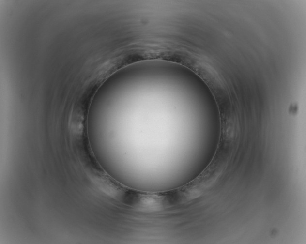 X0000096970226200802081259