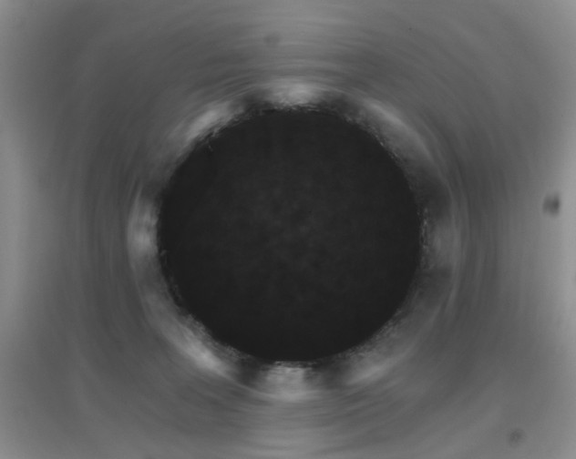 X0000096970227200802081259