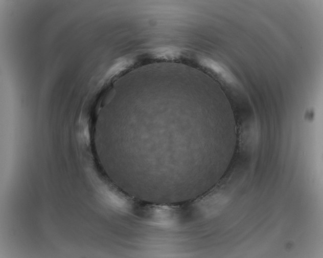 X0000096970229200802081259