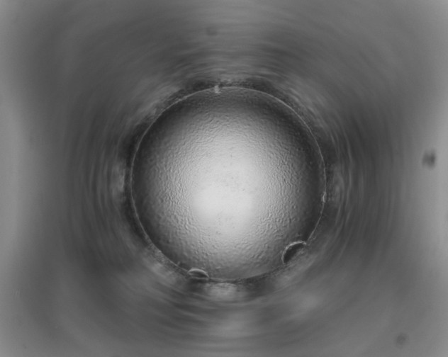 X0000096970230200802081259