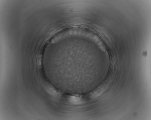 X0000096970232200802081259