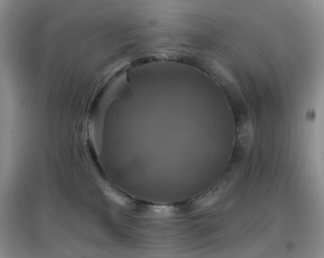 X0000096970233200802081259