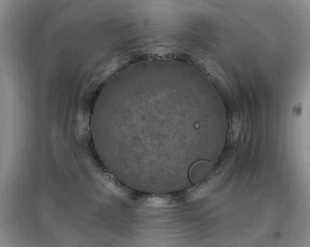 X0000096970236200802081259