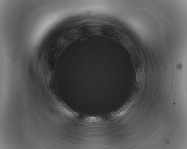 X0000096970239200802081259