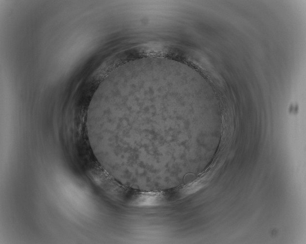 X0000096970240200802081259