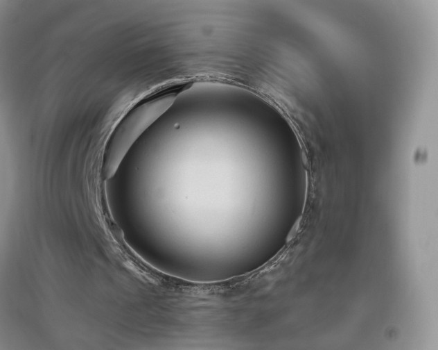 X0000096970241200802081258