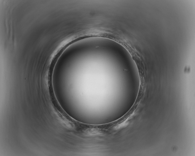 X0000096970244200802081258