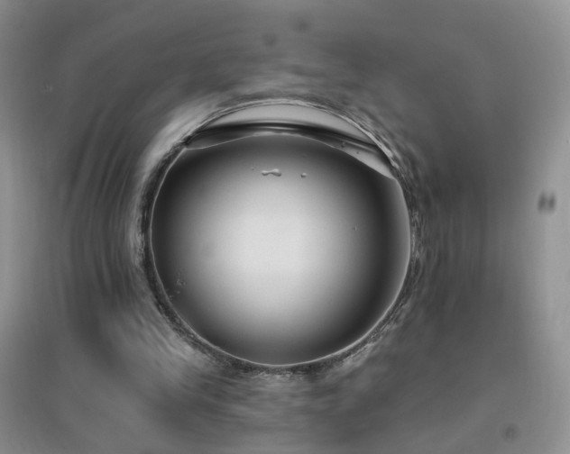 X0000096970245200802081258