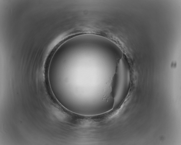X0000096970246200802081258