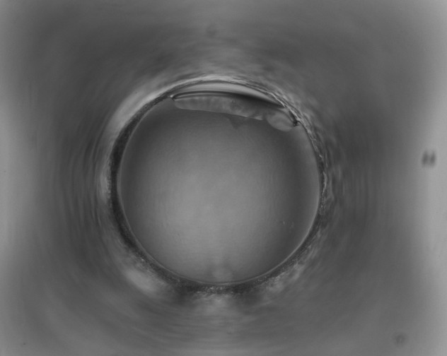 X0000096970247200802081258