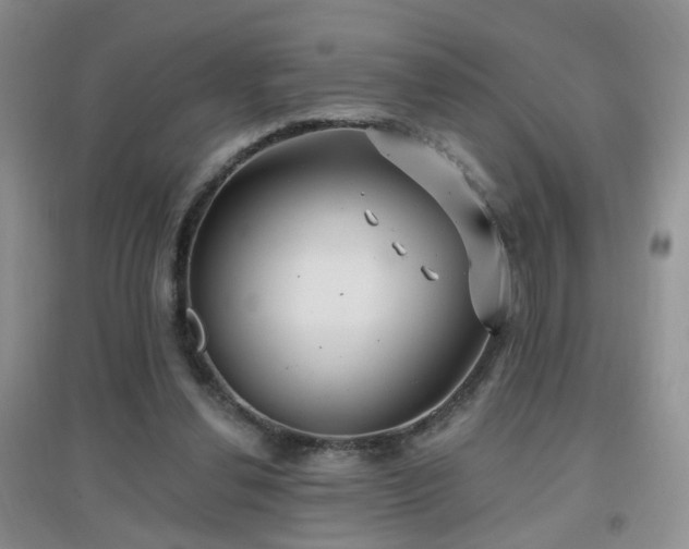 X0000096970252200802081258