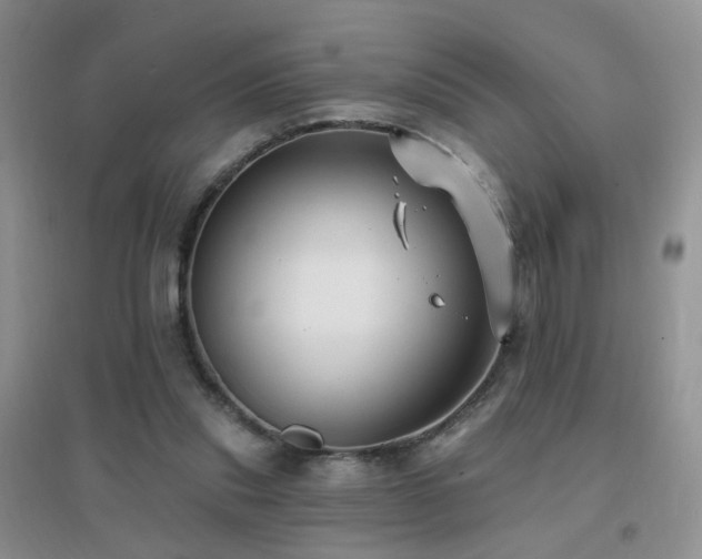 X0000096970253200802081258