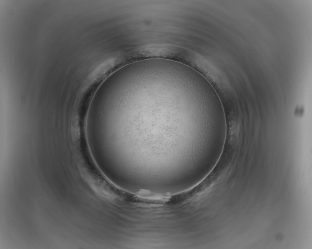 X0000096970254200802081258