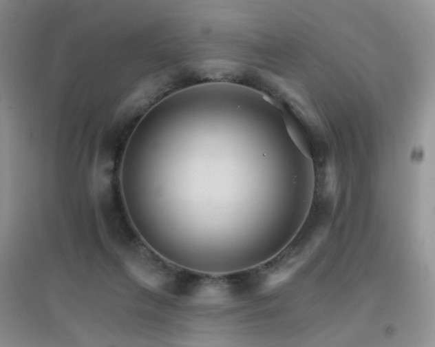 X0000096970263200802081259