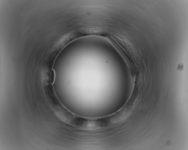 X0000096970264200802081259
