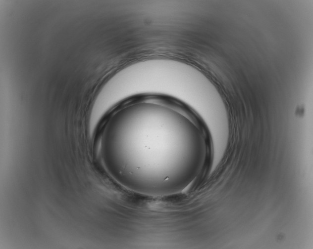 X0000096970268200802081259