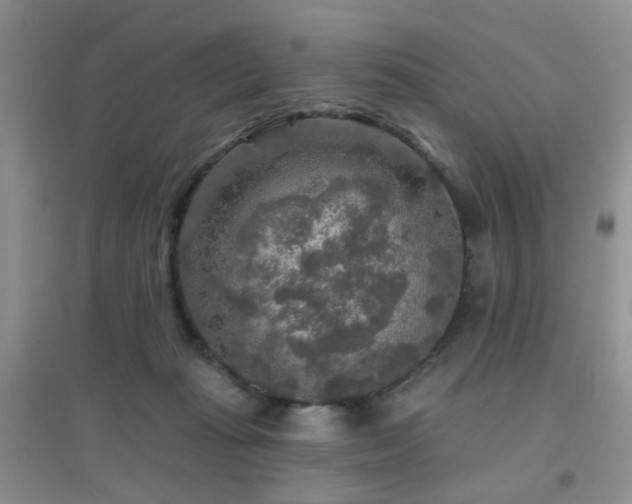 X0000096970269200802081259