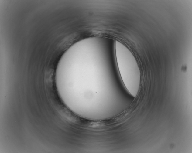 X0000096970275200802081259