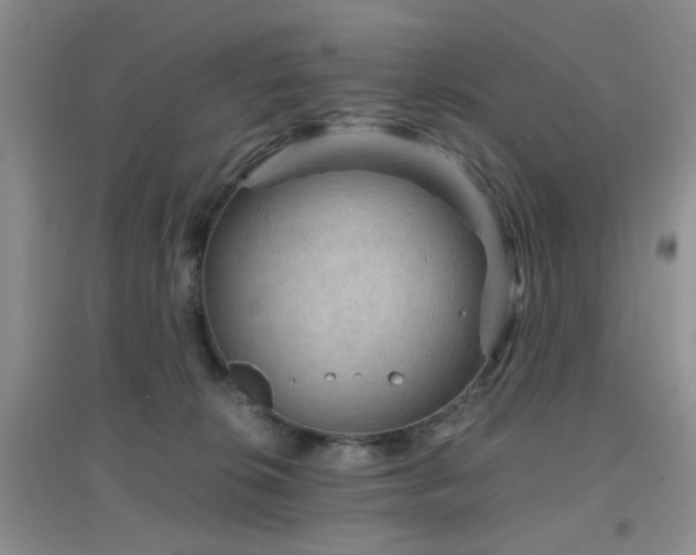 X0000096970276200802081259