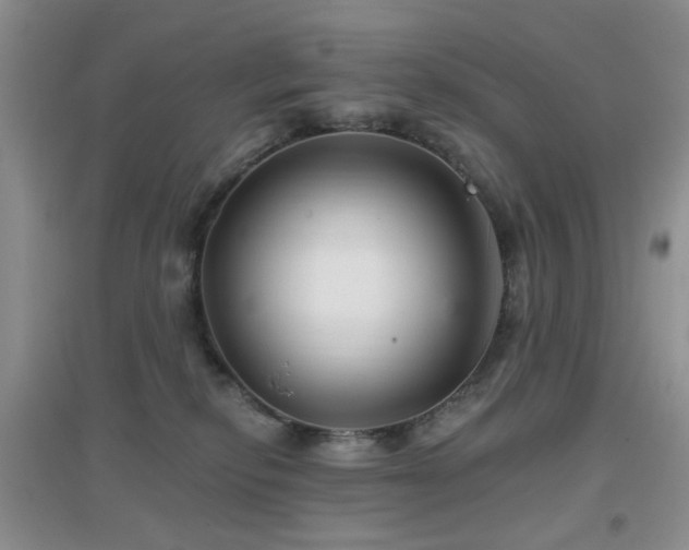 X0000096970278200802081259