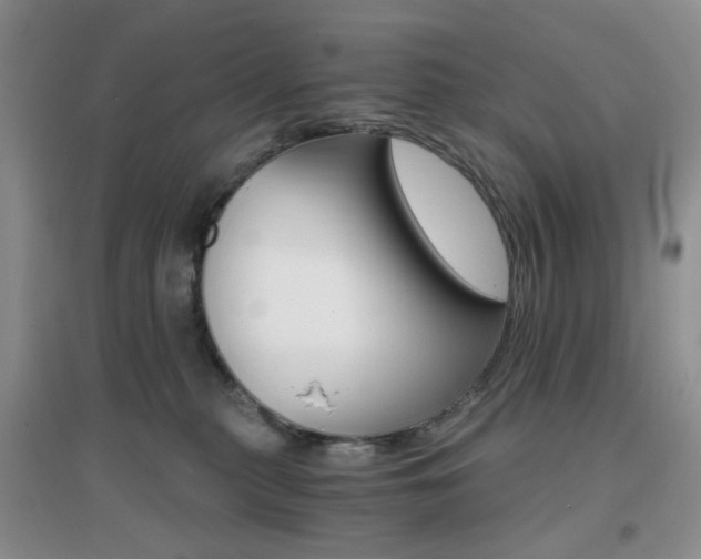 X0000096970279200802081259