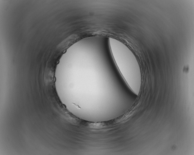 X0000096970281200802081259