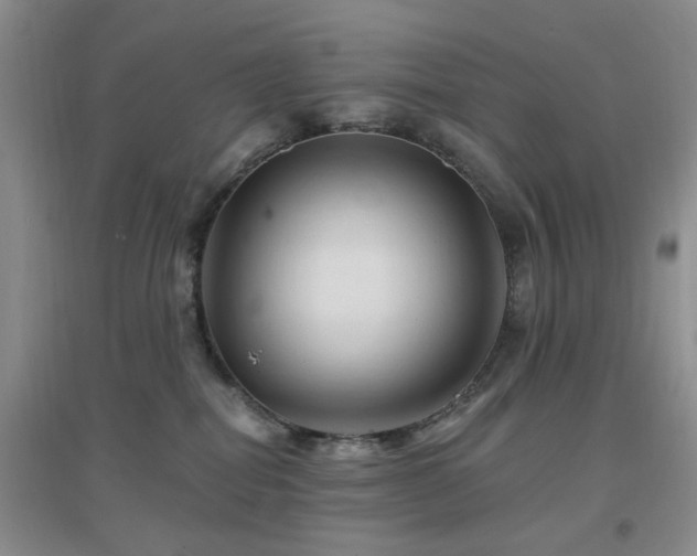 X0000096970282200802081259