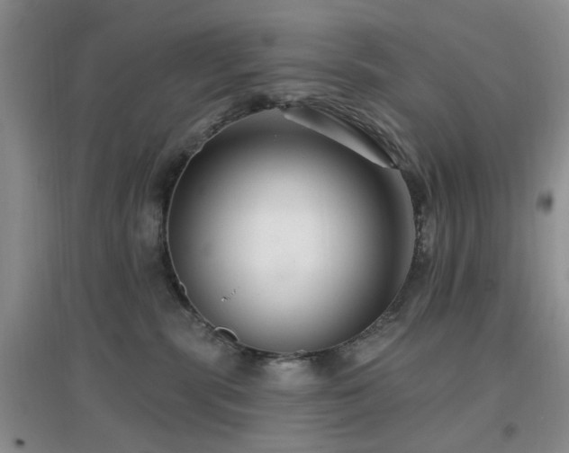 X0000096970283200802081259
