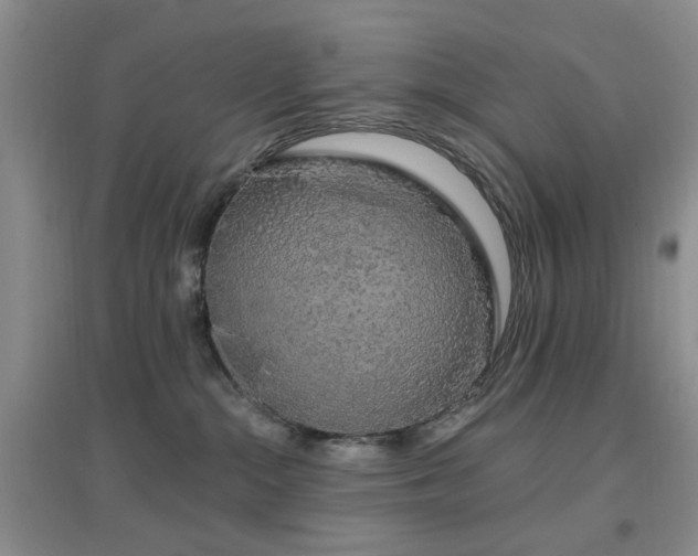 X0000096970284200802081259