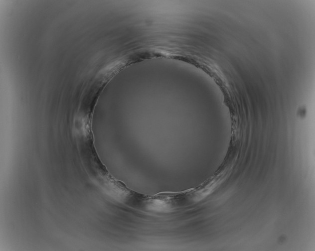 X0000096970285200802081259