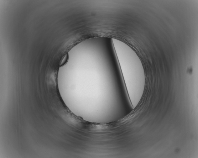 X0000096970286200802081259