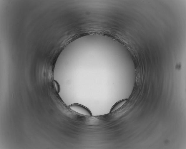 X0000096970287200802081259