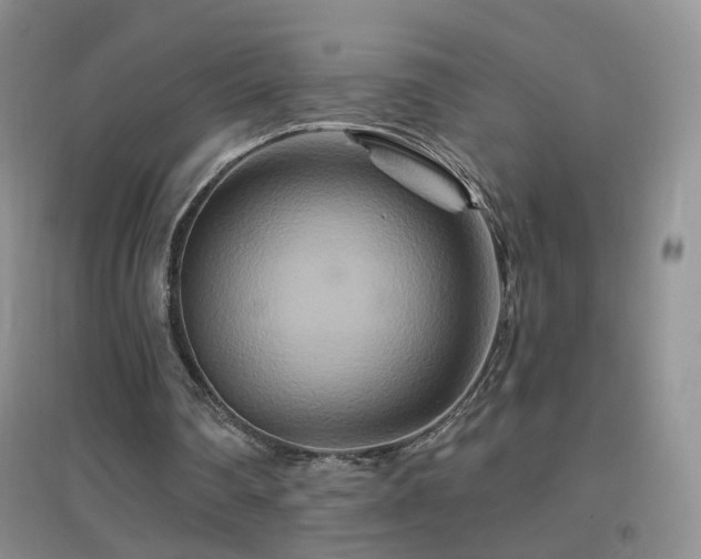 X0000096970290200802081258