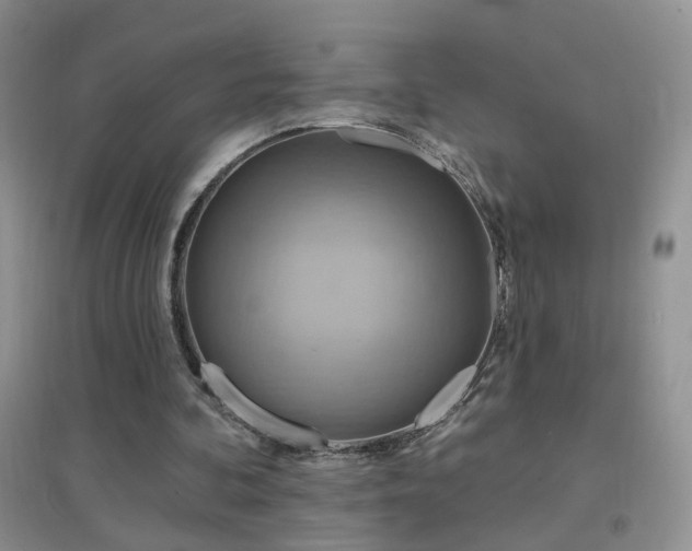 X0000096970292200802081258