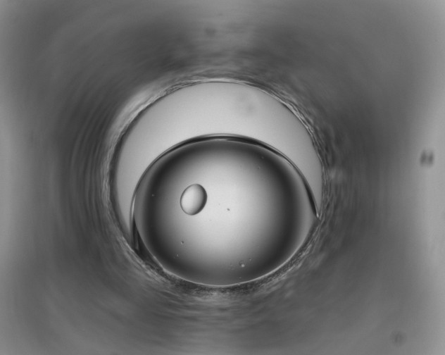 X0000096970293200802081258