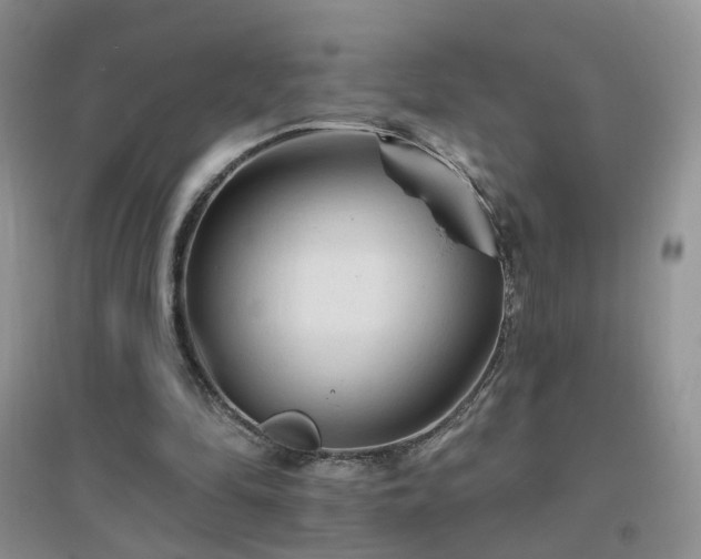 X0000096970294200802081258