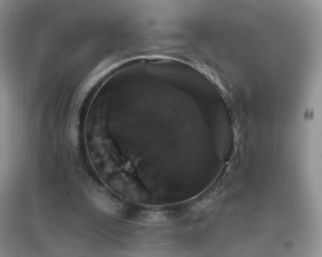 X0000096970295200802081258