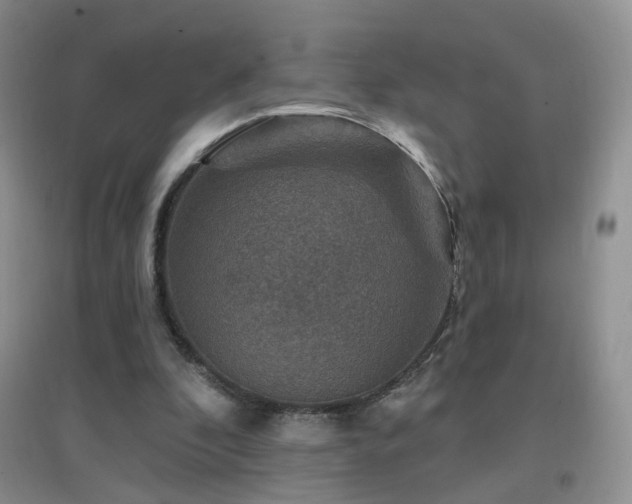 X0000096970296200802081258