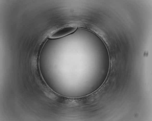 X0000096970297200802081258