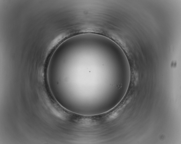 X0000096970298200802081258