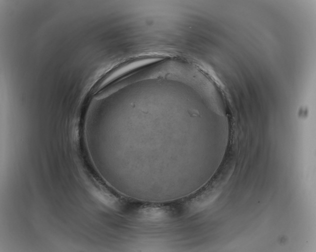 X0000096970299200802081258
